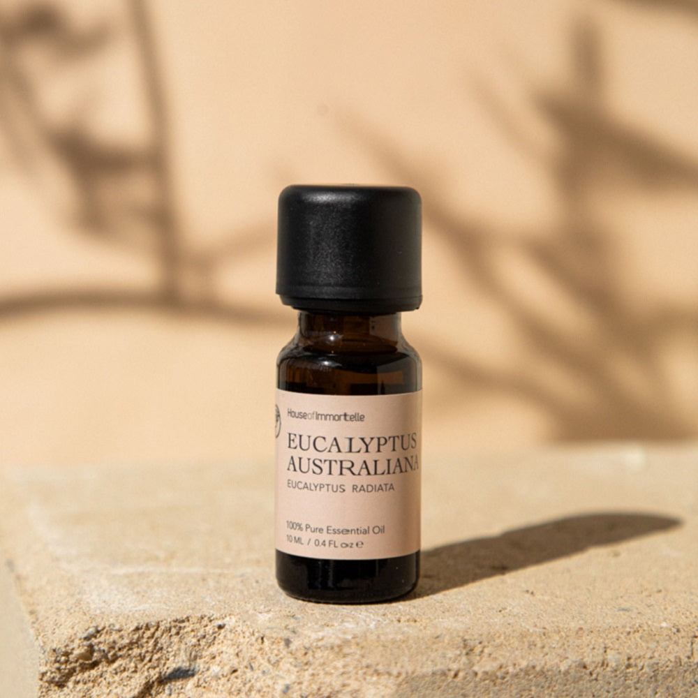 Clear glass bottle of Pure Eucalyptus Australiana Essential Oil with a green label, surrounded by fresh eucalyptus leaves, capturing the refreshing, invigorating aroma of the Australian eucalyptus plant